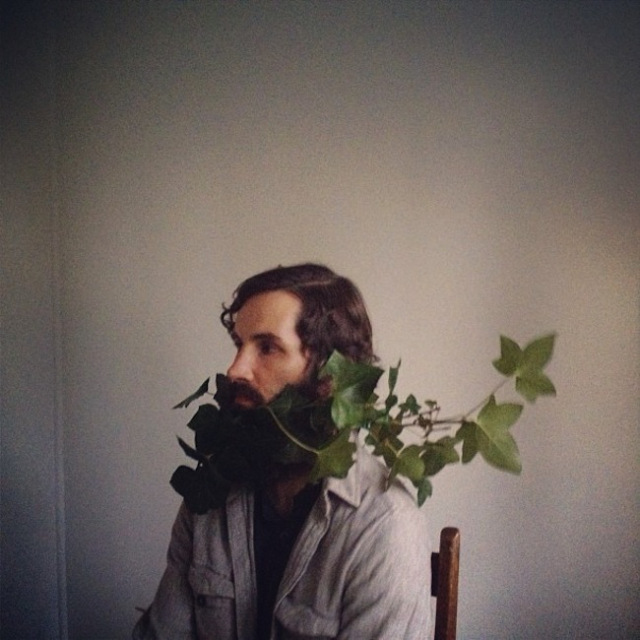 ivy-beard