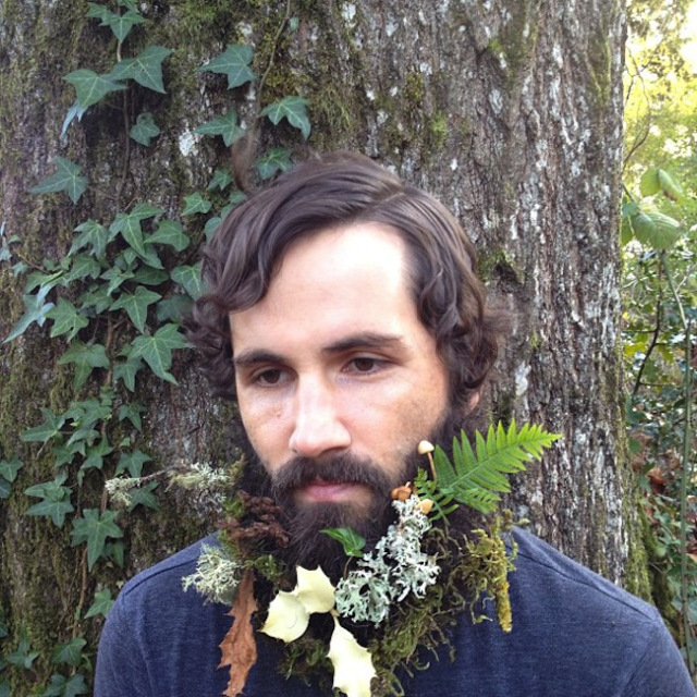 lichen-beard