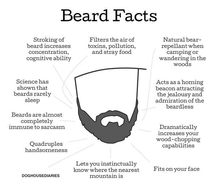 beard_facts