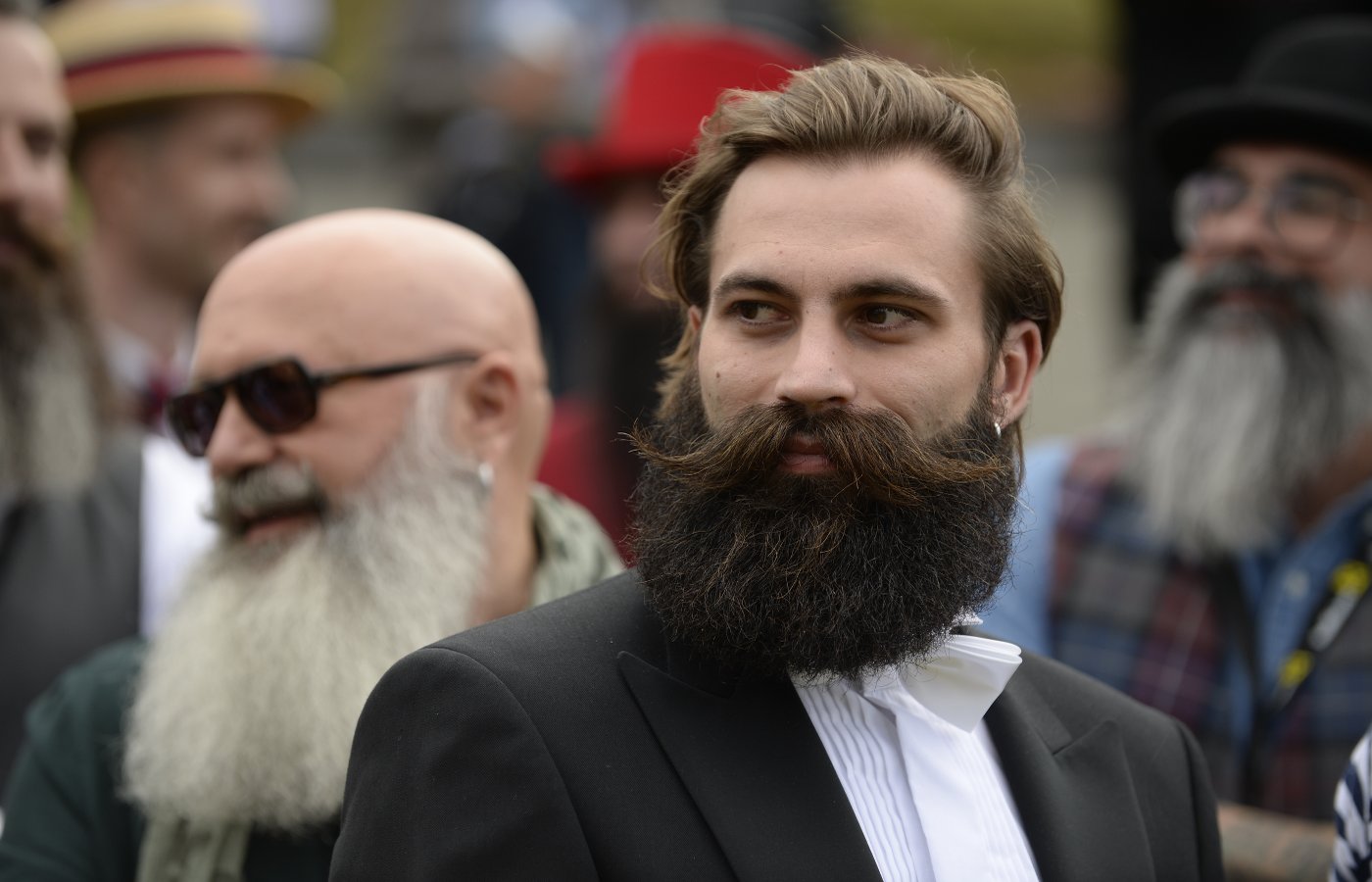 beardcomp2