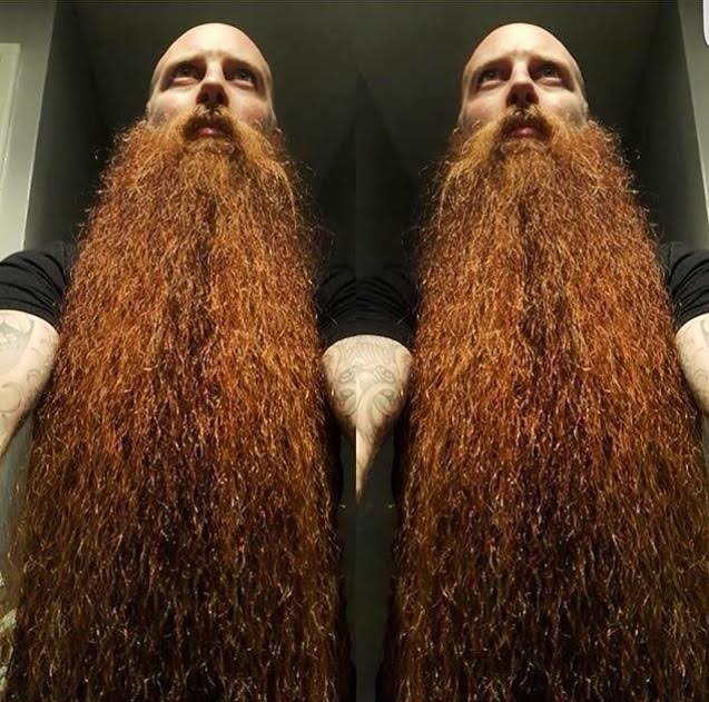 beardsub4